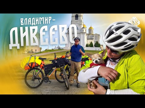 Видео: ВЕЛОПУТЕШЕСТВИЕ с собакой. День 3-й: УКРЫЛИСЬ в сосновом бору перед Муромом