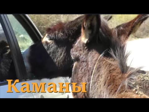 Видео: Трижды Святое место Каманы в Абхазии. Город призрак, развалины села Kamani.