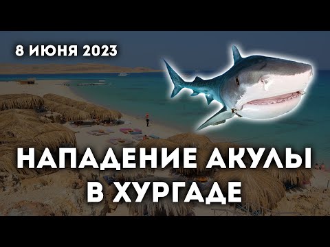 Видео: 🇪🇬 Египет 2023: Ожидаемое нападение акулы в Хургаде (Июнь 2023). Что случилось и почему?