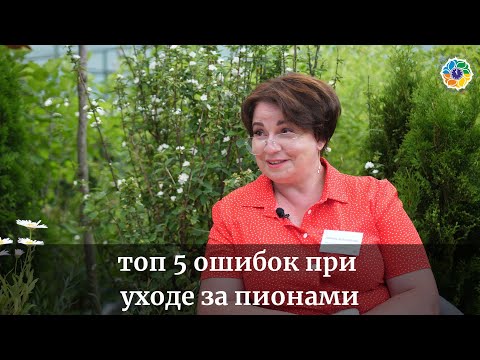 Видео: топ 5 ошибок при уходе за пионами