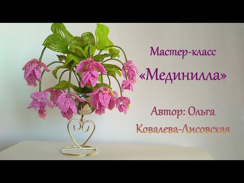 Видео: МК / МЕДИНИЛЛА (MEDINILLA) ИЗ БИСЕРА/ Мастер-класс Ольги Ковалевой-Лисовской  / Цветы из бисера