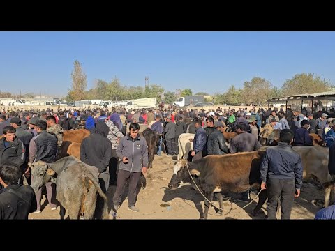Видео: Панчшанбе бозори Н.Ёвон   30.10.2025.г