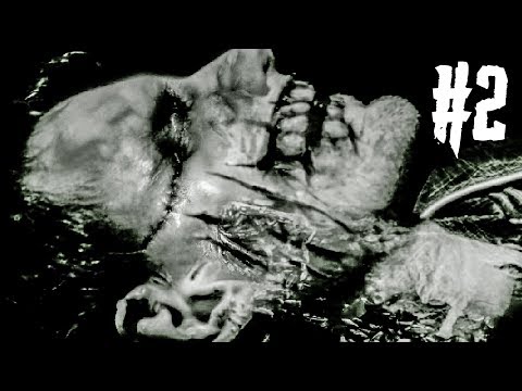 Видео: ПЭНИС НА ПЕДАЛЬ!! ► Downfall Redux Прохождение #2 ► ХОРРОР ИГРА