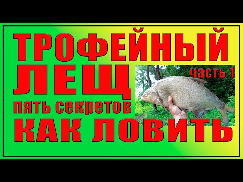 Видео: Трофейный лещ. Пять секретов как ловить.