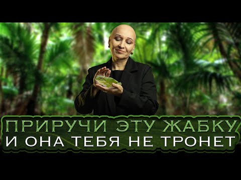 Видео: Чистка от Жабьей порчи | Приручи эту жабку и она тебя не тронет.