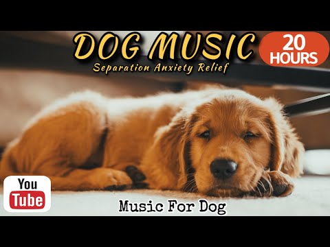 Видео: 20 часов любимой музыки собак🐶💖Музыка для сна собак 🐶🎵 Музыка для снятия беспокойства при разлуке🎵