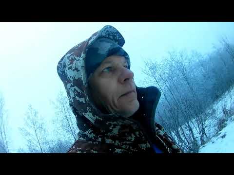 Видео: Промысловая охота: новые ловушки и приманки