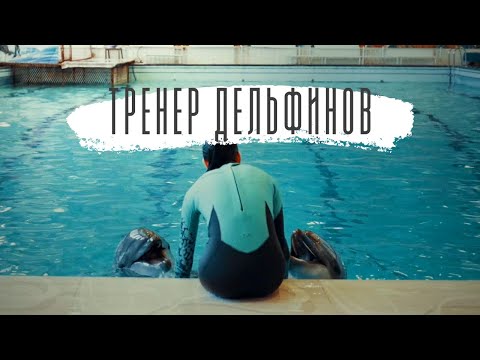 Видео: Тренер Дельфинов.  Жизнь в дельфинарии | Документальный фильм