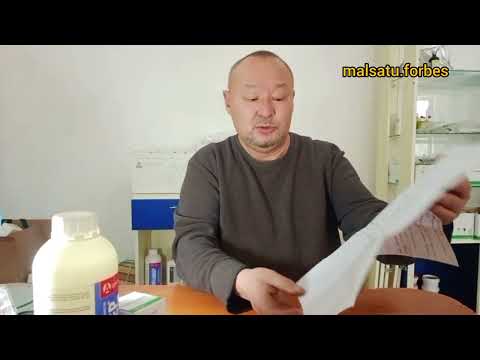 Видео: НИТОКС жайлы барлық сұрақтарға жауап, міндетті түрде көріңіз!