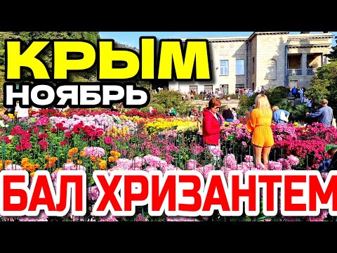 Видео: КРЫМ. 🌻 БАЛ ХРИЗАНТЕМ.  НИКИТСКИЙ БОТАНИЧЕСКИЙ САД 🌴. ЯЛТА. НОЯБРЬ. #крым #ялта 