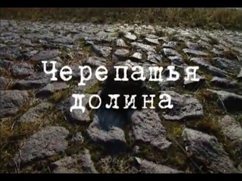 Видео: Чернобыльские джунгли. 20 лет без человека... Часть 3 [Черепашья долина] | Film Studio Aves