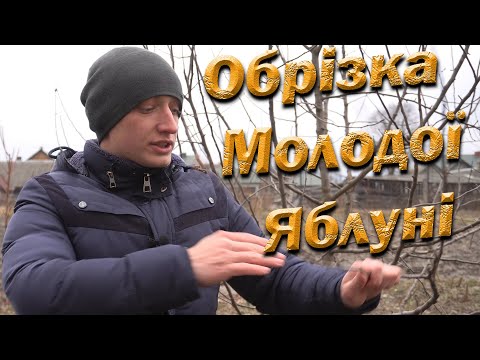 Видео: Обрезка яблони на урожай! Обрезка молодой однолетней и двухлетней яблони весной.