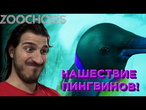 Видео: Zoochosis: Как будто финал, но я не уверен!