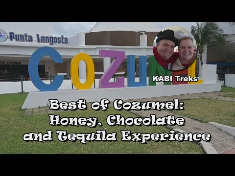 Видео: Сокровища Диснея: лучшая экскурсия на Косумель — знакомство с мёдом, шоколадом и текилой