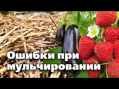 Видео: КАК ПОЛУЧИТЬ ОТ МУЛЬЧИ МАКСИМАЛЬНУЮ ПОЛЬЗУ. СЛЕДУЙТЕ ЭТИМ СОВЕТАМ