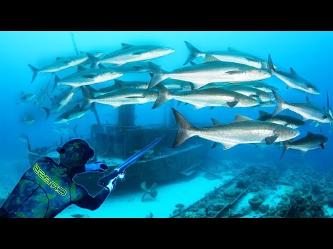 Видео: Мы получили то, за чем пришли! СТОЛЬКО РЫБЫ, которую нужно поймать!