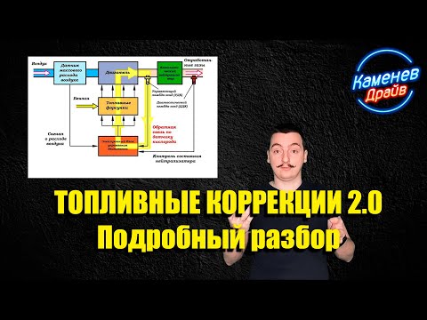 Видео: Топливные коррекции подробный разбор по просьбе подписчика