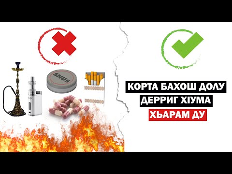 Видео: Корта бахош долу дерриг хIума хьарам ду / Рамзан