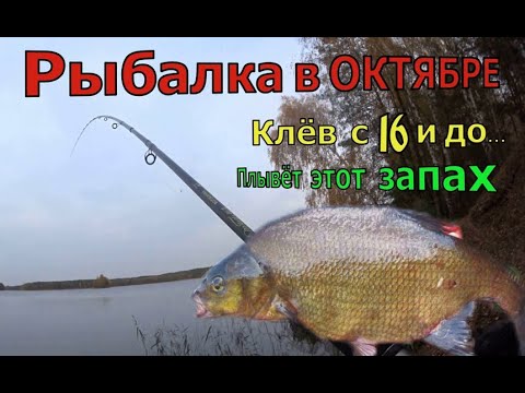 Видео: НА ЧТО КЛЮЁТ ОСЕННЯЯ РЫБА. Беспроигрышный Вариант КЛЁВА в холодной воде. Рыбалка на фидер Ловля леща