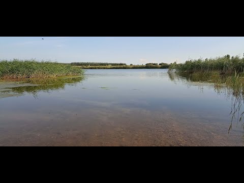 Видео: Маршрут к урочищам Урумкай | Киндиккарагай, Ковалевка, Новокиевка, Гордеевка | Озеро Кояндыколь