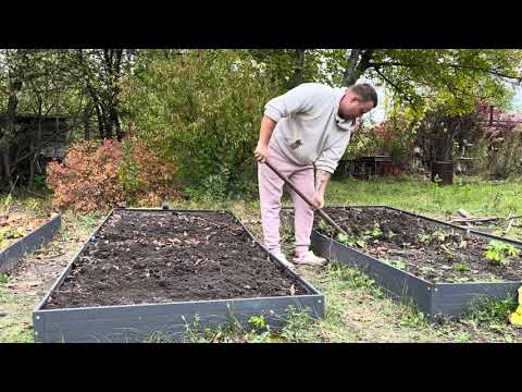 Видео: Осінні роботи в саду та на городі🍁