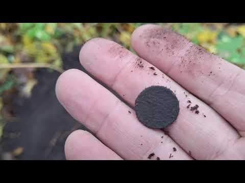 Видео: Калининград.Железный лес.Анонс видео .Коп у кромки дороги.