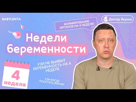Видео: 4 неделя беременности что происходит с плодом и что чувствует женщина, как выглядит ребенок, УЗИ