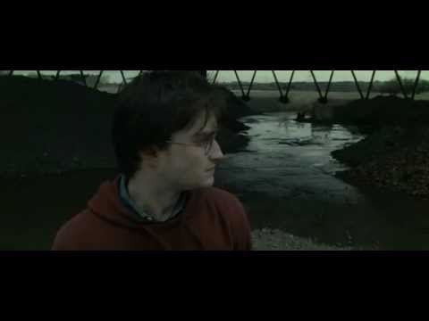 Видео: Друзья на веки (Рон/Гарри/Гермиона)