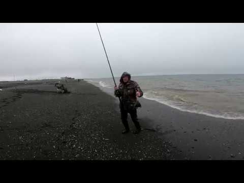 Видео: Морская рыбалка на Камчатке западное побережье навага