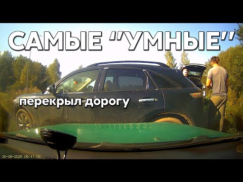Видео: Подборка САМЫХ "УМНЫХ" водителей #1173