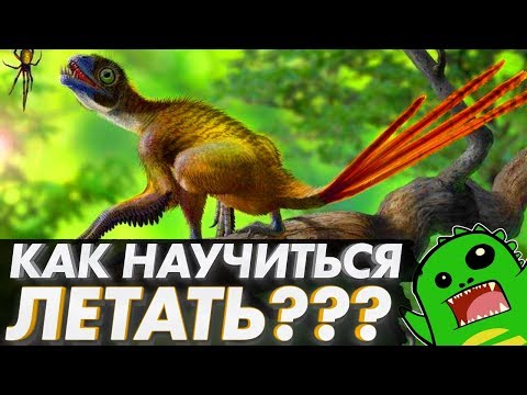 Видео: Как научиться ЛЕТАТЬ? Эволюция полета, птерозавры и птицы: [Тихий ПОДКАСТ]