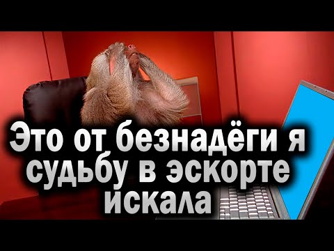 Видео: 11 макак лечат двенадцатую бытовую ститутку