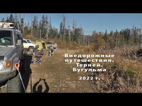 Видео: Терней Бугульма 2022