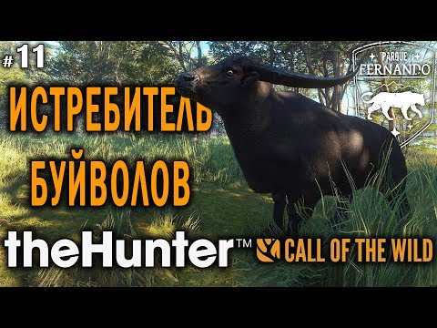 Видео: theHunter Call of the Wild #11 🔫 - Истребитель Буйволов - Штуцер, Винтовка