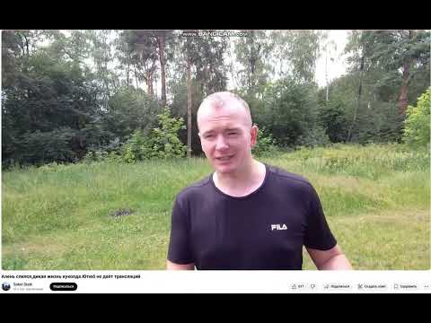 Видео: Сокол Сталк — Цирк абсурда. 5 историй, в которые трудно поверить