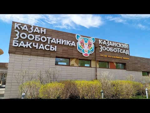 Видео: Зоопарк "Река Замбези" в городе Казань!  Зооботсад в Казани! Нападение гориллы! Кормление Бегемота!