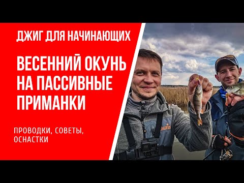 Видео: Ловля окуня весной на пассивные приманки  Советы, проводки, оснастки