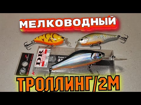 Видео: Троллинг на Мели.Воблеры мелководья+-2метра.Реплики ZB Khamsin, Yo-Zuri 3d Flat crank.100%работают