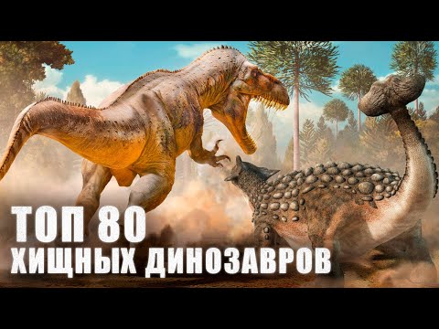 Видео: 80 Самых Опасных Хищных ДИНОЗАВРОВ Мезозойской Эры