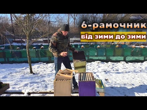 Видео: Шестирамочний вулик, річний цикл. Як розширити пасіку дешево?
