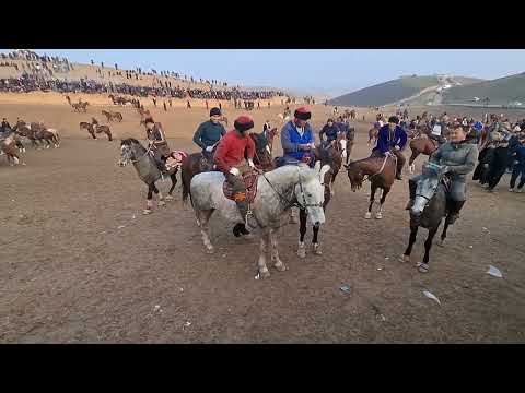 Видео: Асп ба номи акян бузи калон дар шурча н Ёвон