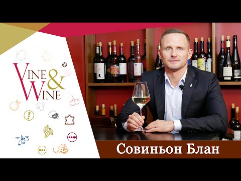 Видео: Совиньон Блан мира / Sauvignon Blanc of the World