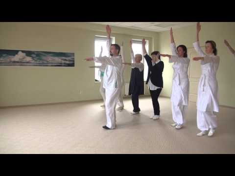 Видео: ДВИЖЕНИЯ ГУРДЖИЕВА,Александр Бельцер (Тушир)-23 марта 2014. 00218