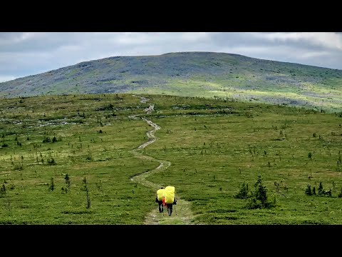 Видео: Поход «Ивдель - перевал Дятлова - Маньпупунер»