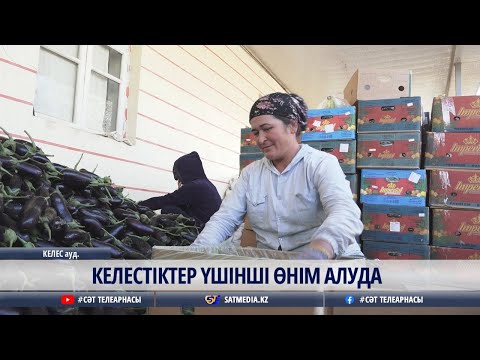 Видео: 30 10 2025 КЕЛЕСТІКТЕР ҮШІНШІ ӨНІМ АЛУДА