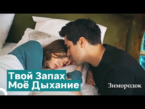 Видео: Целуя Тайно Поцеловал Твои Глаза | Зимородок