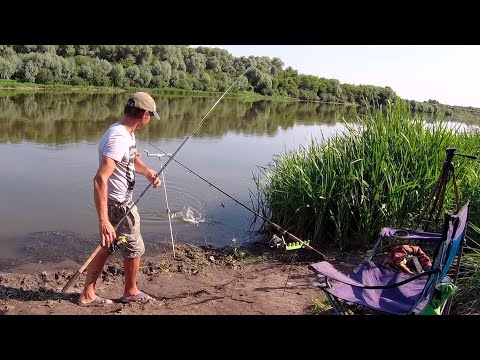 Видео: ЛЮТЫЙ КАРАСЬ ХВАТАЕТ И БЕЖИТ! Рыбалка на Дону в Воронежской области!