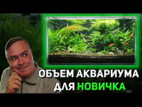 Видео: Объем аквариума для новичка. Частая ошибка выбора