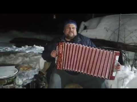 Видео: вечер в деревне, шарит на гармошке!Комбайнеры.