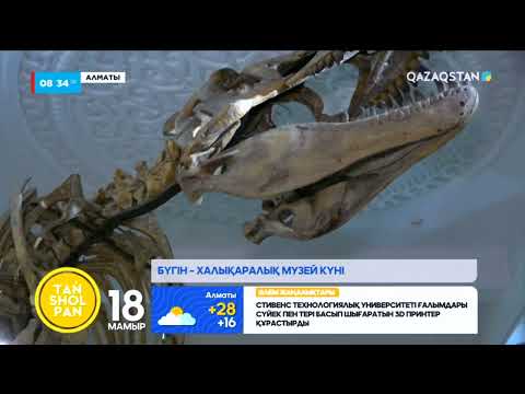 Видео: Бүгін – Халықаралық музей күні
